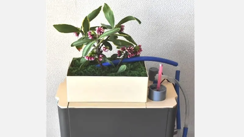 装置上部の拡大写真です!