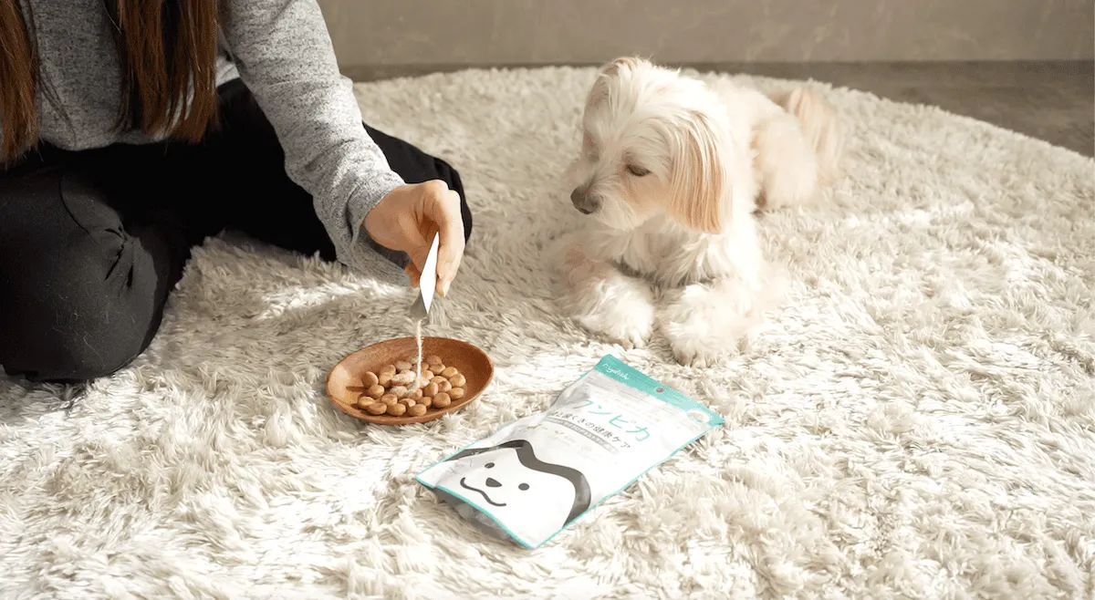 01HDG9CQCPKR3SQKWY01BFCDV8