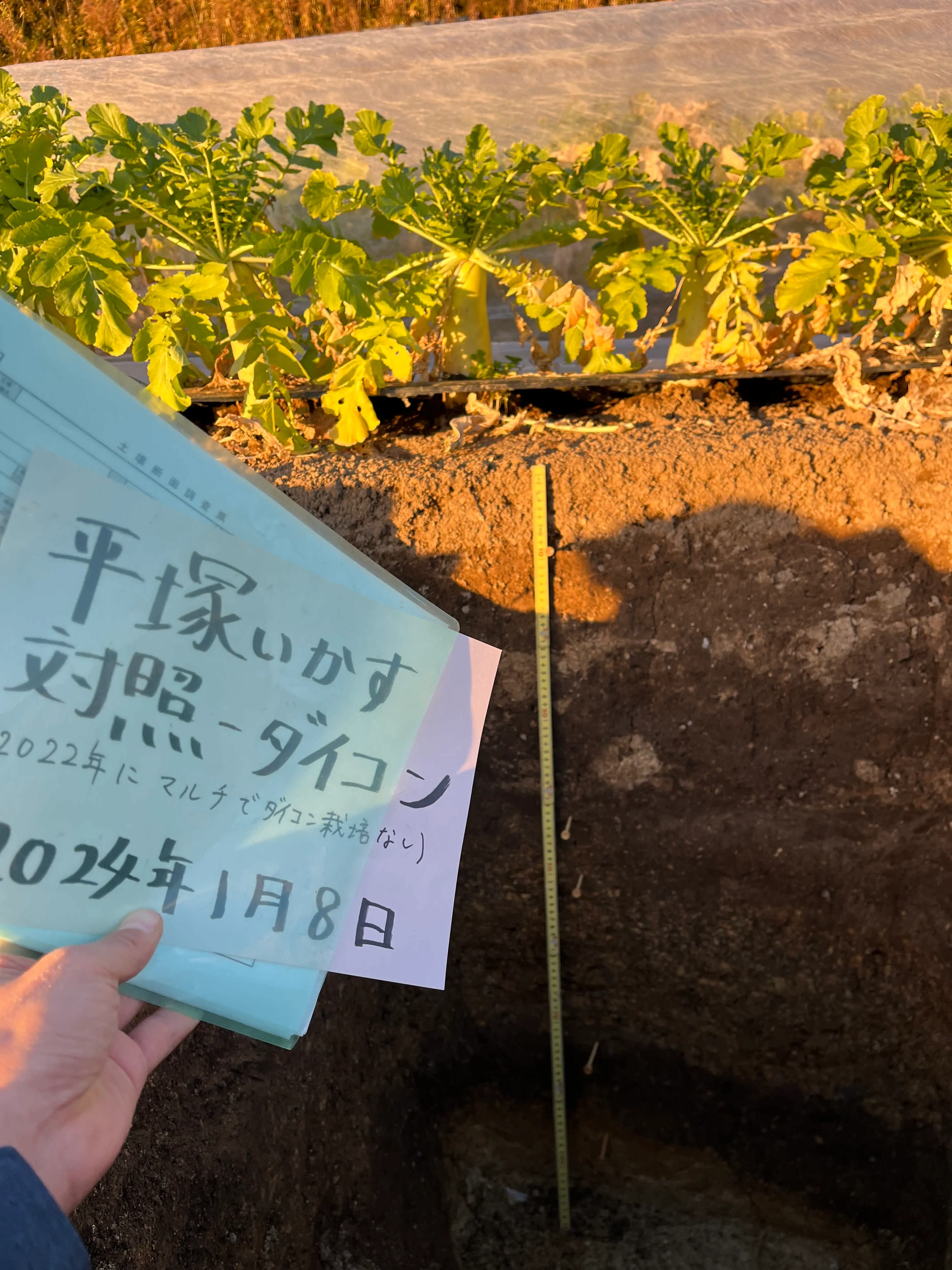 東京農大との観える化プロジェクト