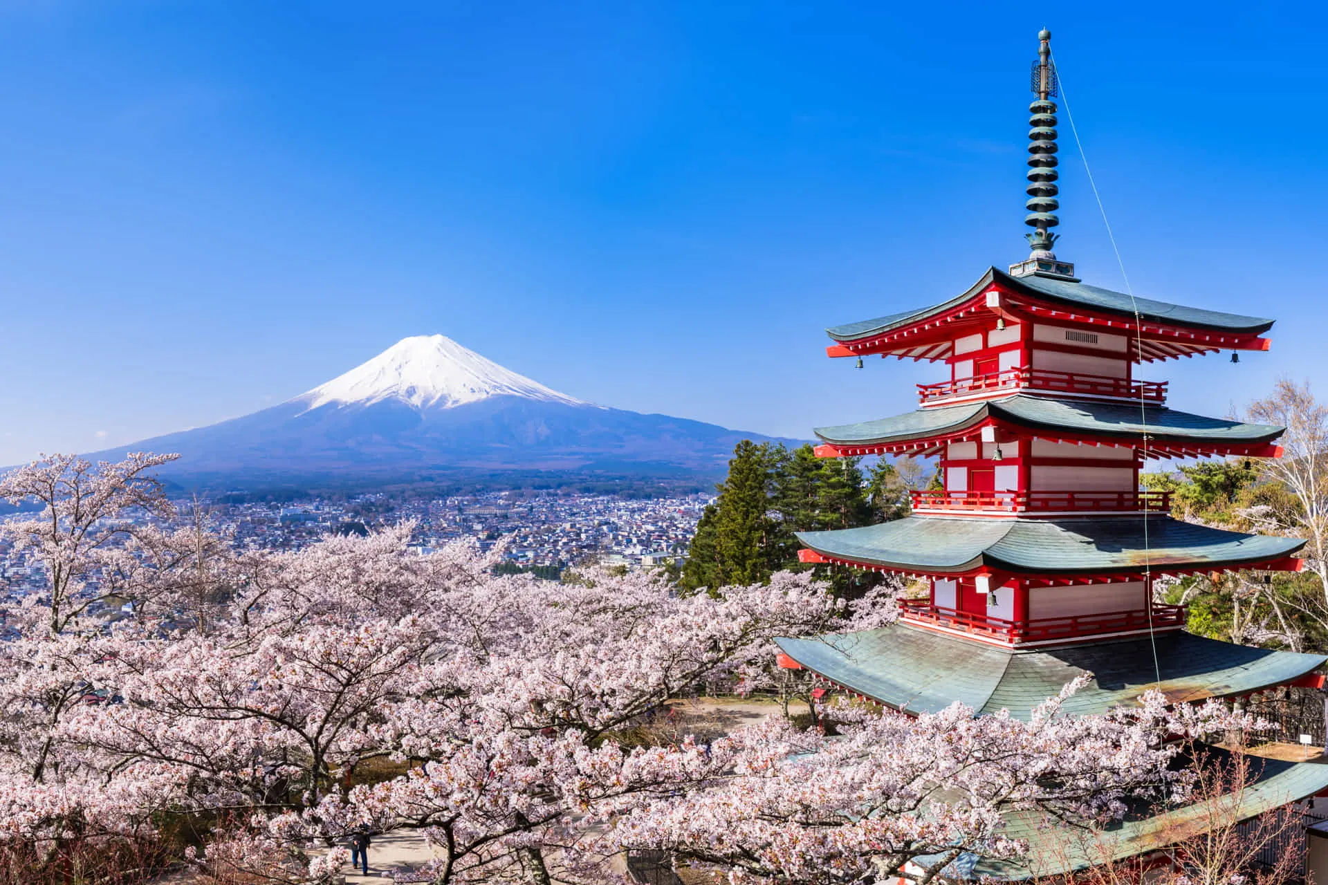 世界中の誰もが知っているであろう富士山。山梨県側から見える富士の絶景。