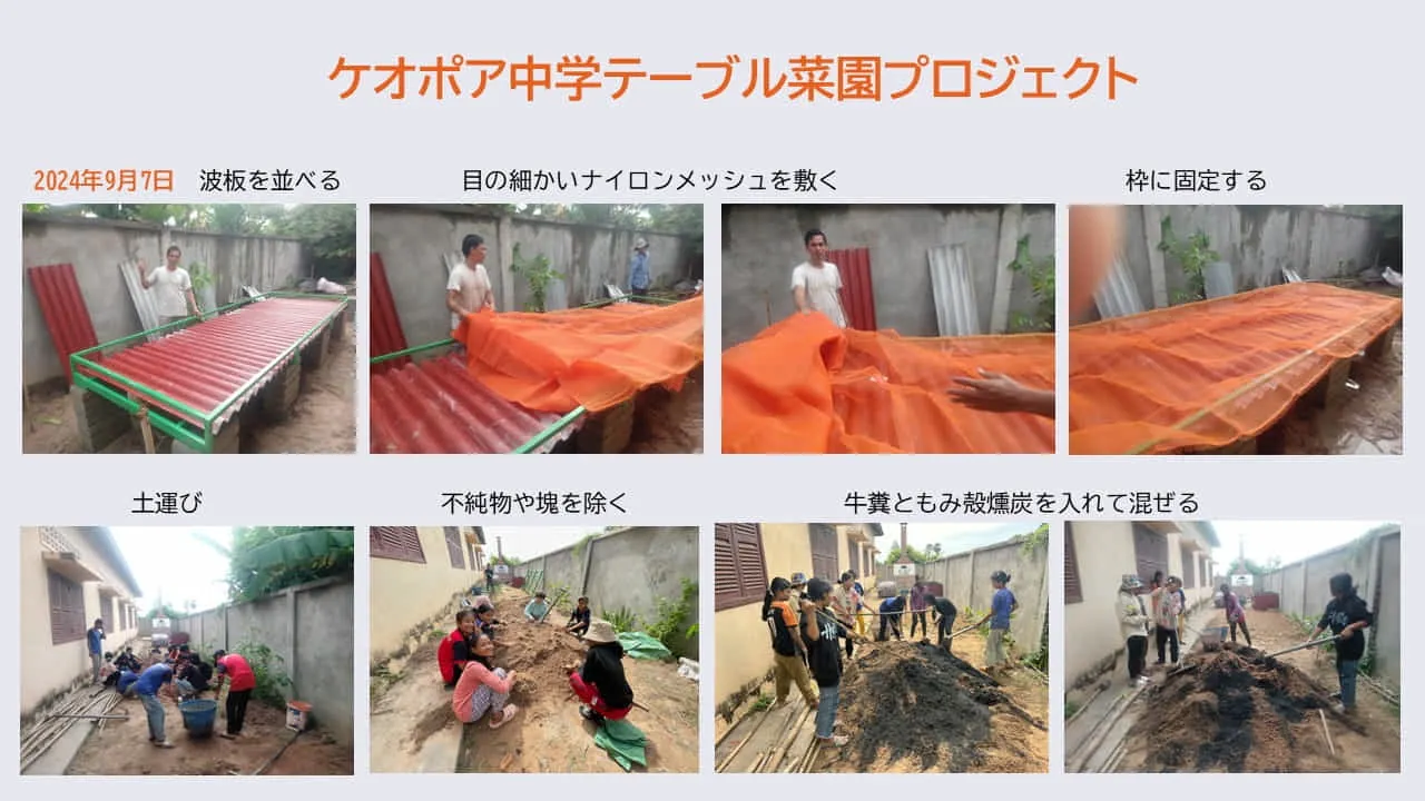65㎝の高さのテーブルでの少土葉物野菜栽培事業
