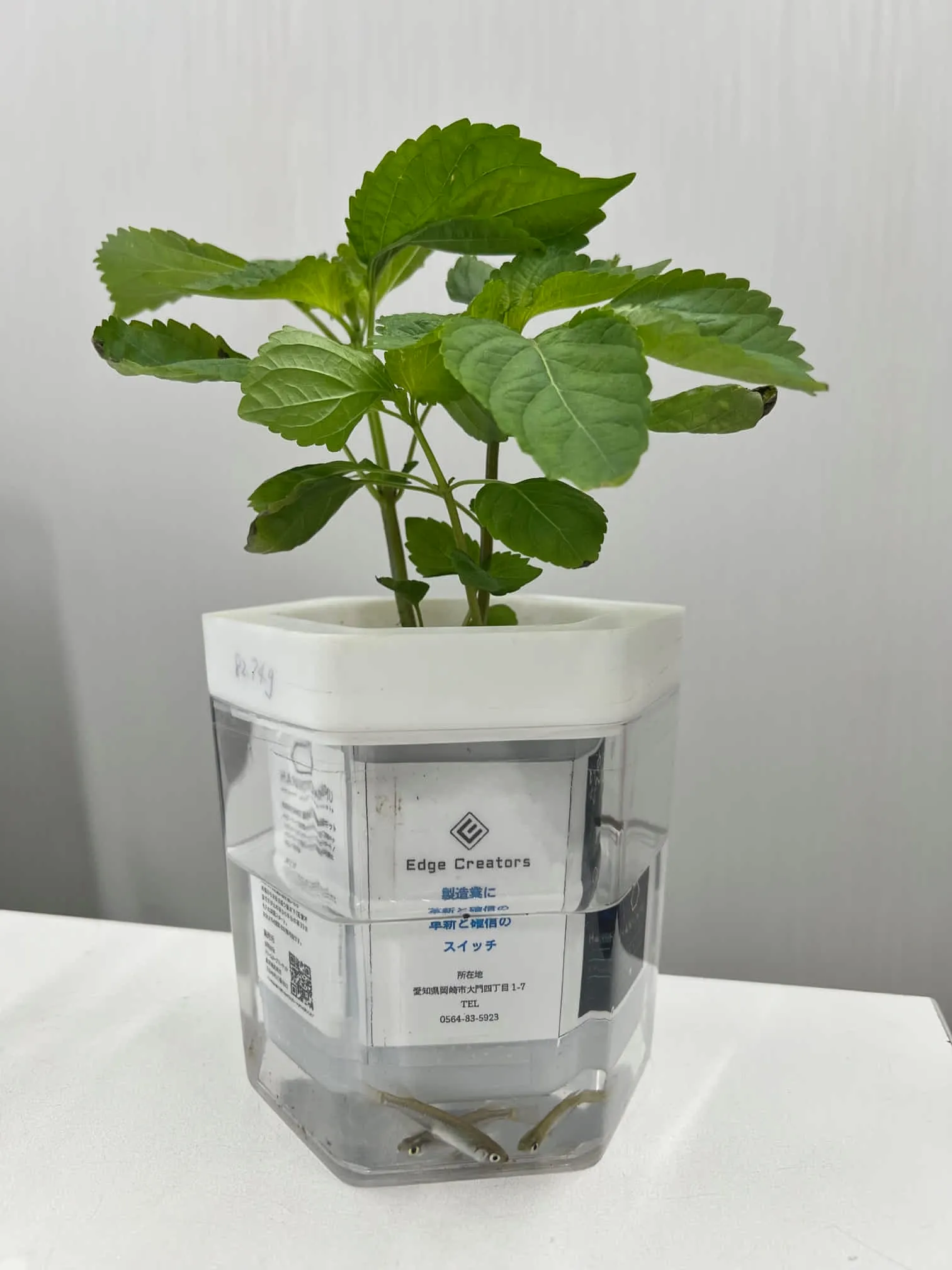 HANICAMU 菜園キット構造開発　高い技術力を活かし異業種の製品開発経験もあります