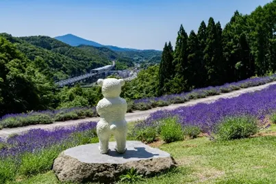 岩手県岩手町発：共創による地方創生とロールモデルづくり