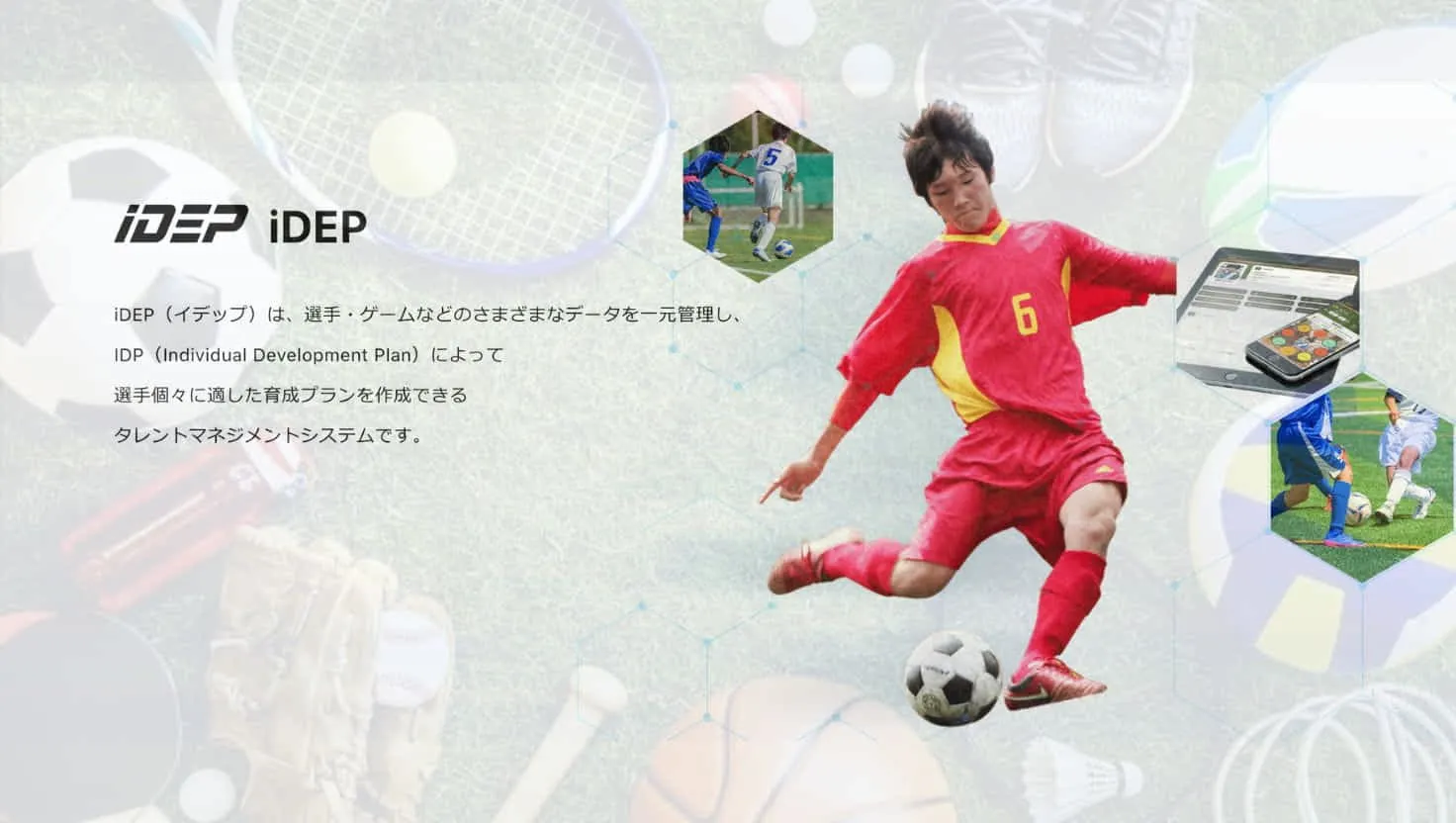 世界の育成スタンダードIDPをiDEPで