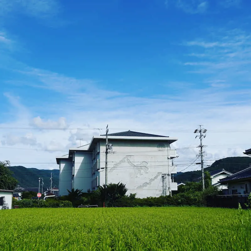 ホシノマチ団地の外観