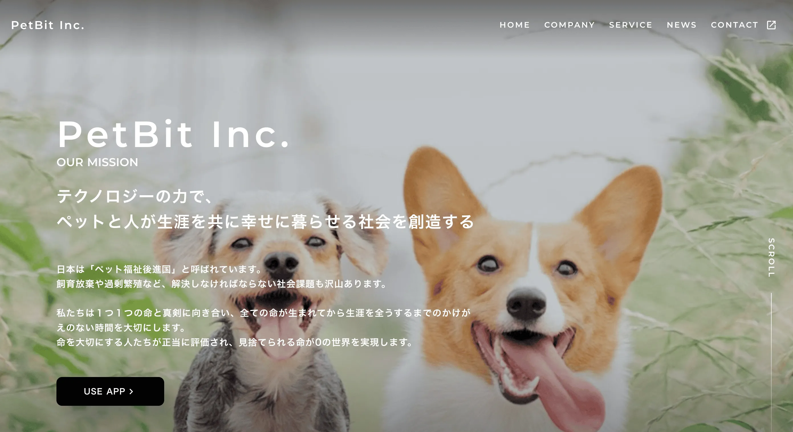「暮らし」について「ペット」×「IT」の切り口で取り組みます