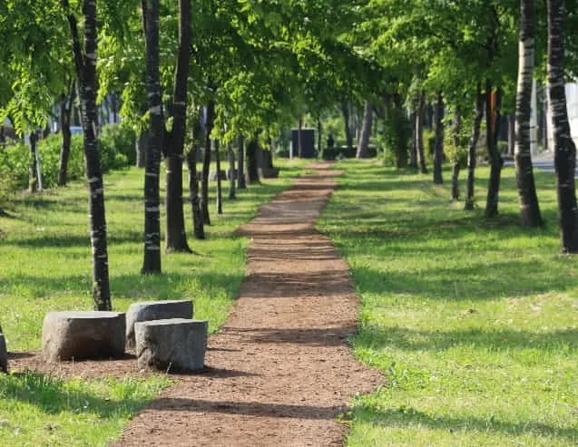 杉の樹皮（バーグ）を活用し開発した、特許取得済みのソフト舗装「SUGI ROAD」は自然景観に馴染むユニークな舗装。公園の遊歩道など歩く人へのインパクトを軽減できます。また雑草などの繁茂、進行を抑制し景観を長く美しく維持することができます。