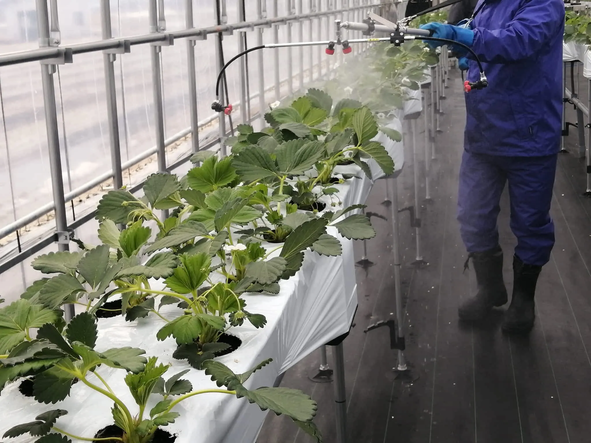自社の農業生産において、病害虫の防除・駆除は共通の課題となっています。