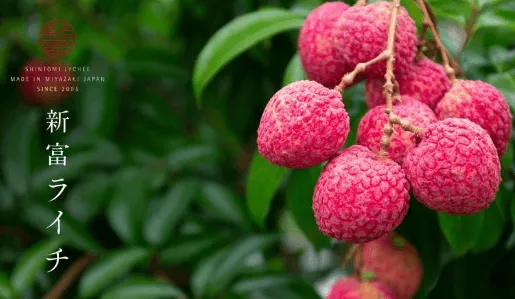 １粒1000円　国産生ライチ