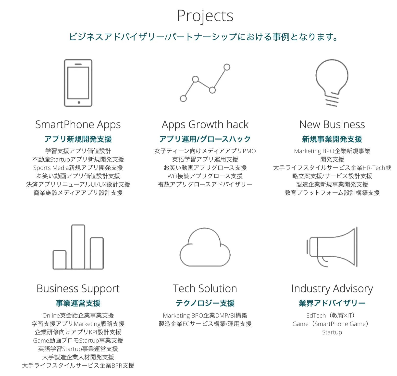 ビジネスアドバイザリー実績（抜粋）