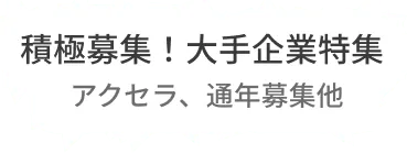 通年でアクセラレータープログラムを開催されている企業や、通年でパートナー募集をされている企業の中から、現在積極的な大手企業及びグループ企業をピックアップしました。