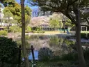 とむ
