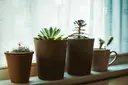 下瀬 眞一(しもせしんいち)