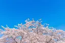萩広史