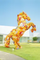 島村さくら
