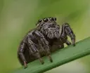 目谷史秋