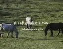 山口孝志