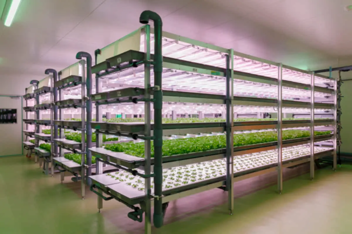 大和ハウス工業×三協立山｜植物工場システム「agri-cube ID」を共同開発
