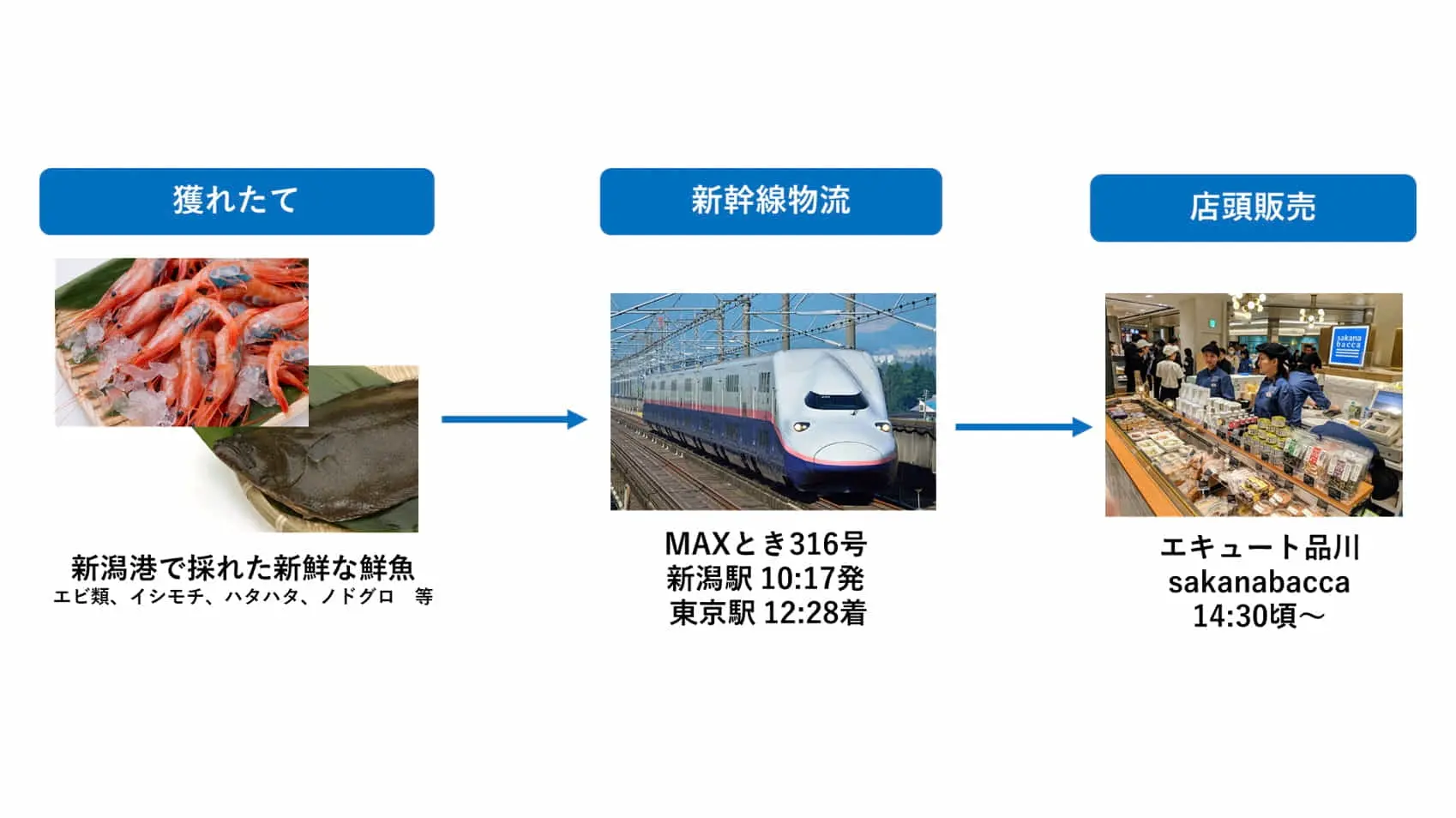 JR東日本グループ×フーディソン ｜ 新潟の海産物を新幹線物流で輸送、“獲れたて状態”で都内販売