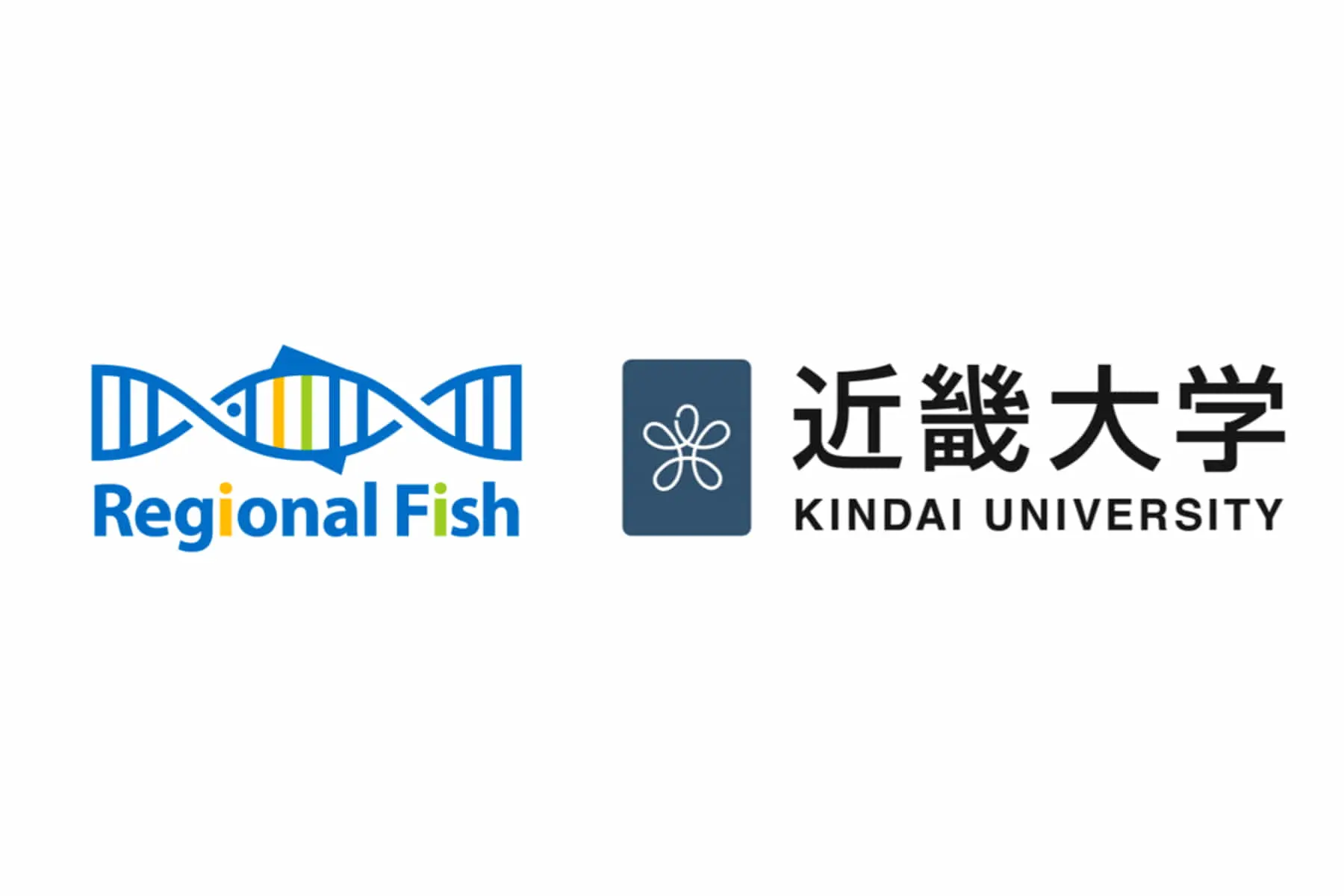 スマート養殖スタートアップのリージョナルフィッシュ、近畿大学水産研究所とともに研究開発を加速しNEDO STS採択も決定