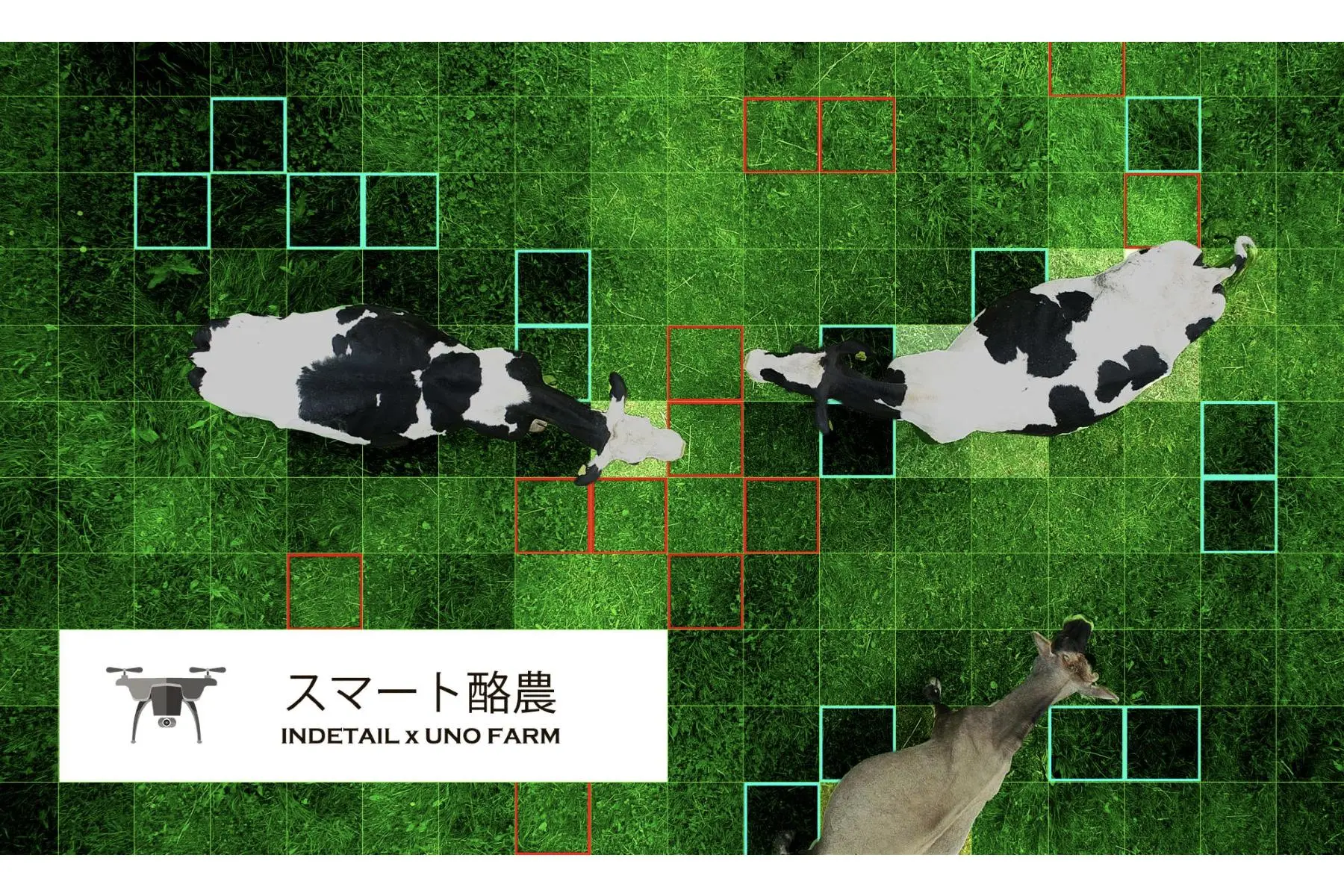 INDETAIL×宇野牧場 | 良好な牧草地をドローンとAIが選定し、牛の移動ルートを自動形成する実証実験を秋にも実施