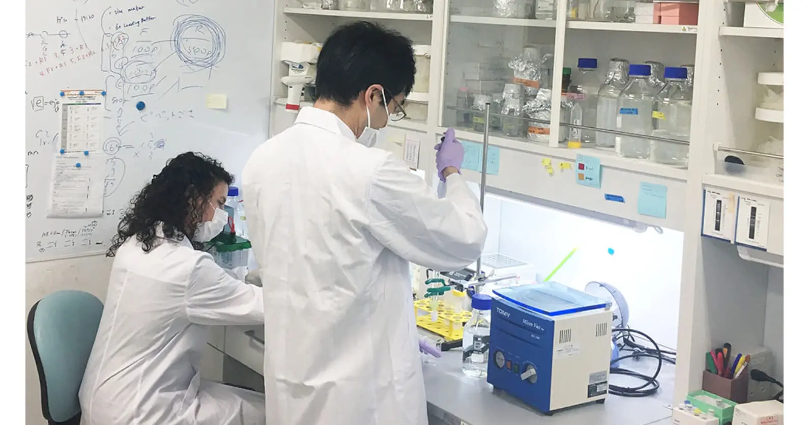 AIを活用した新薬開発を行う株式会社MOLCURE | ジャフコ グループ、STRIVEなどから総額8億円の資金調達