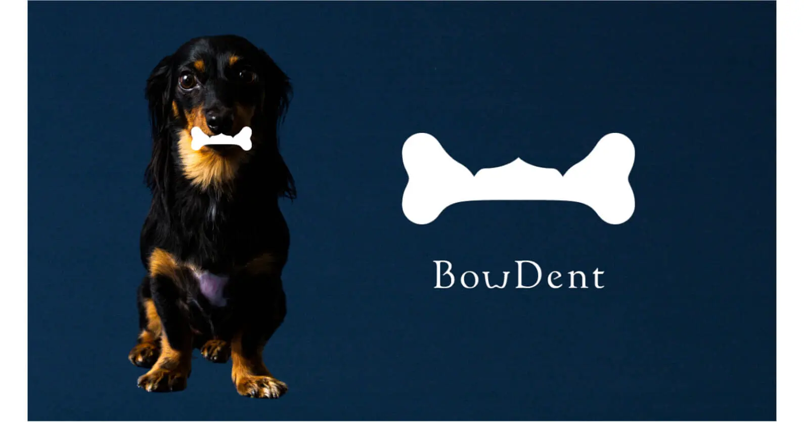 愛犬用歯磨きケアセット『BowDent』を展開する株式会社toiro ｜ シードラウンドで数千万円の資金調達
