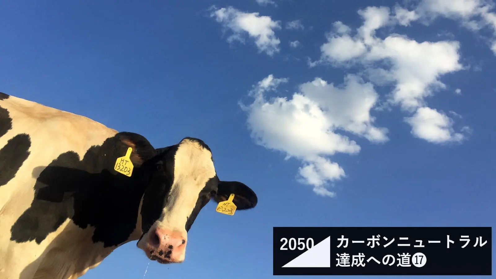 牛の“げっぷ”が畜産で最大の課題。CO2の28倍の温室効果を持つメタン削減の道筋は？