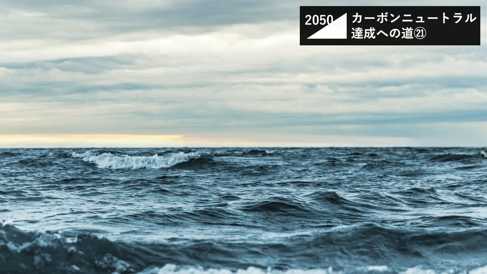 海水をCO2回収タンクにする「海のカーボンニュートラル」の新技術とは？