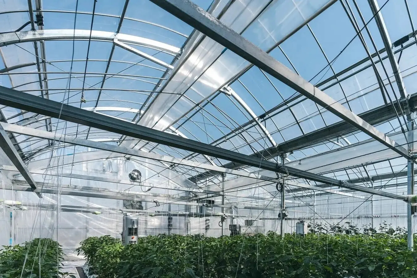 農業ロボットベンチャー・AGRIST、自動収穫ロボットを活用した次世代農業パッケージの開発を目的に資金調達を実施