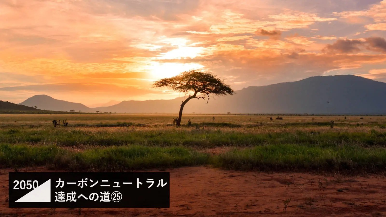 再エネ資源の宝庫であるアフリカ。カーボンニュートラルの現状とポテンシャルは？