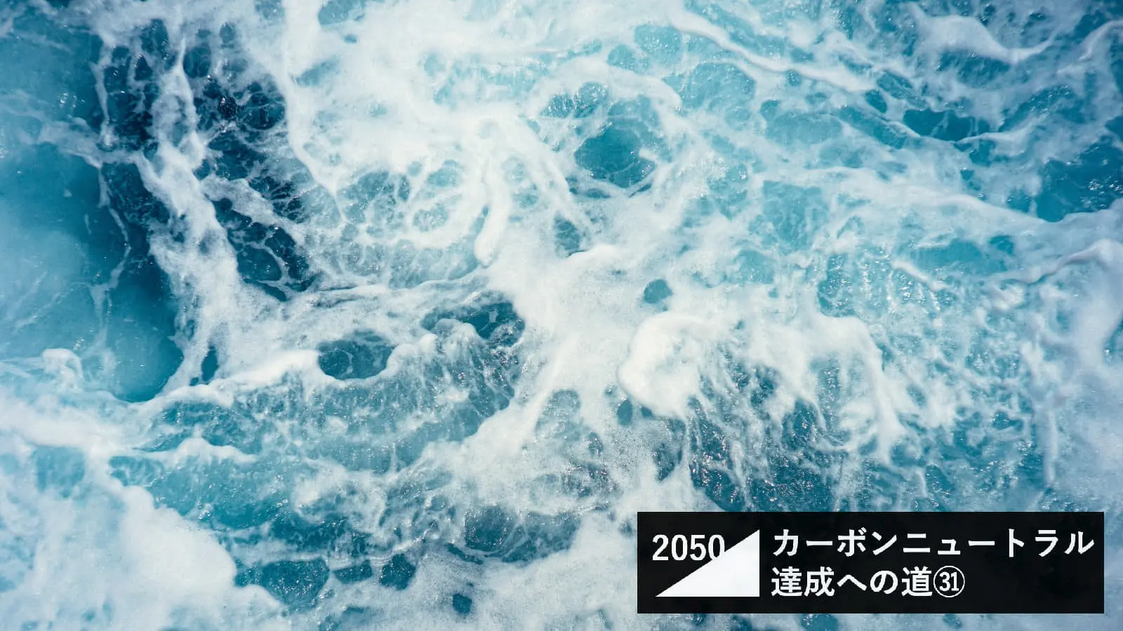日本は「海洋エネルギー」のポテンシャルが世界トップクラス。再エネの宝庫である海のパワーとは