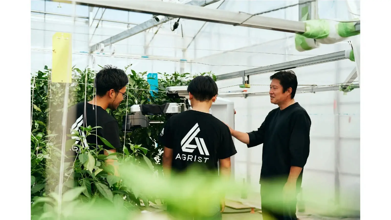AGRIST×JR九州ファーム×農家 ｜ 農業の担い手不足を解消するAI収穫ロボットの実証実験開始