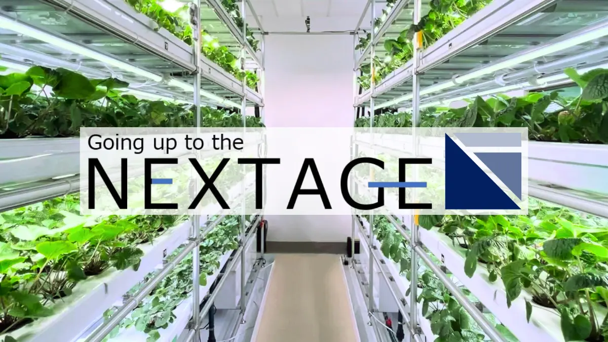 「わさび」を世界へ──アグリテックベンチャー・NEXTAGEと三菱ガス化学、植物工場による大規模栽培の実用化へ始動