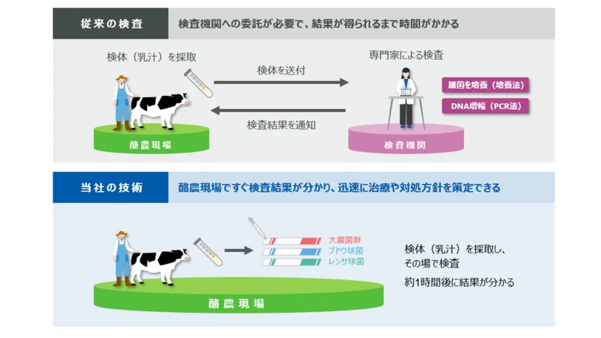 旭化成、乳牛の乳房炎原因菌を迅速検出する新技術を開発　共創事業「TBC」の一環として技術系専門商社エア・ブラウンにライセンス提供開始