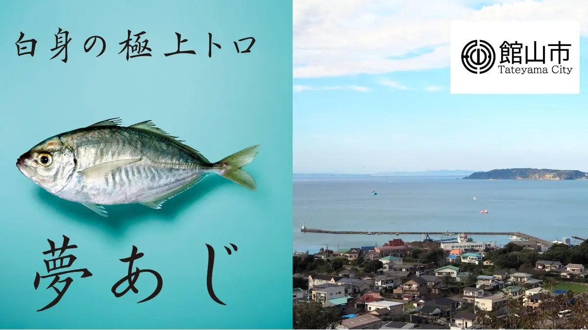 東京海洋大発スタートアップのさかなドリーム、世界初の養殖魚「夢あじ」を館山市ふるさと納税返礼品に出品