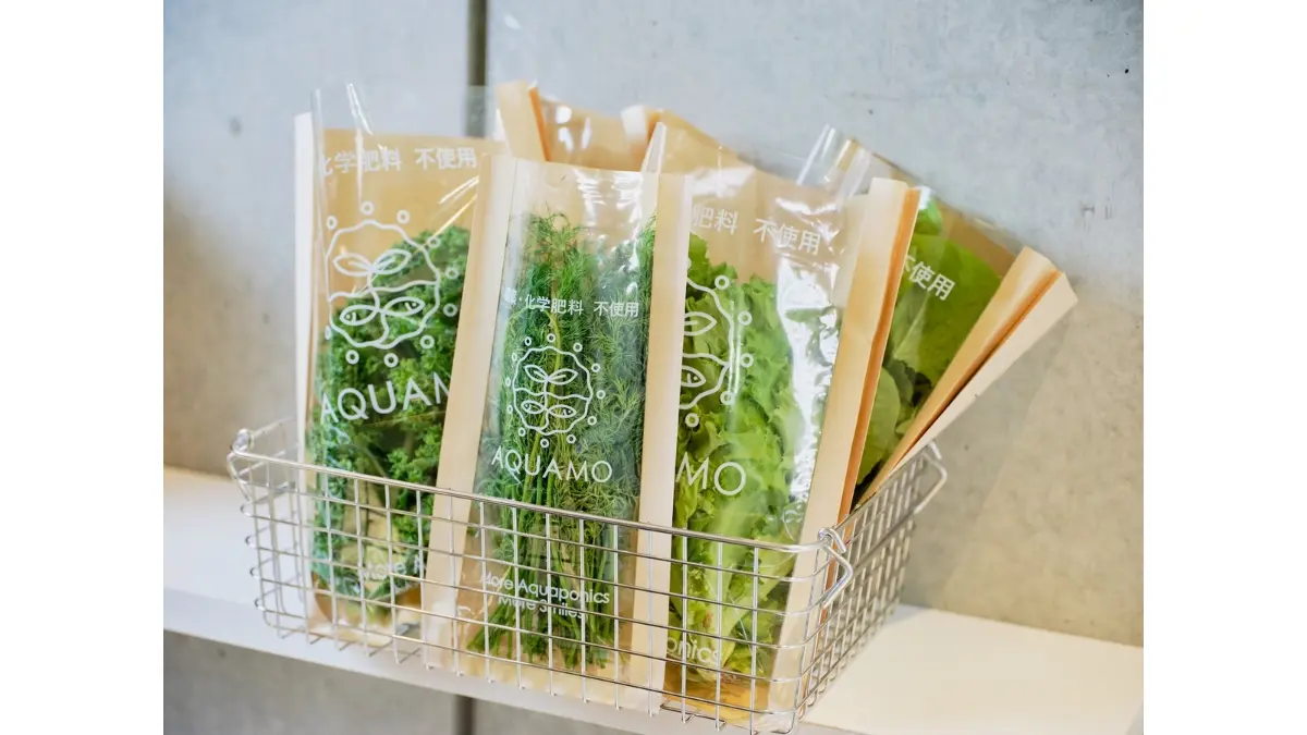 アクポニ、アクアポニックス野菜を販売へ――虎ノ門で食の実装拠点として生産者直営のサラダボウル専門店をオープン