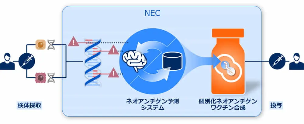 NEC、最新AIを活用した創薬事業に本格参入。2025年に事業価値3000億円を目指す