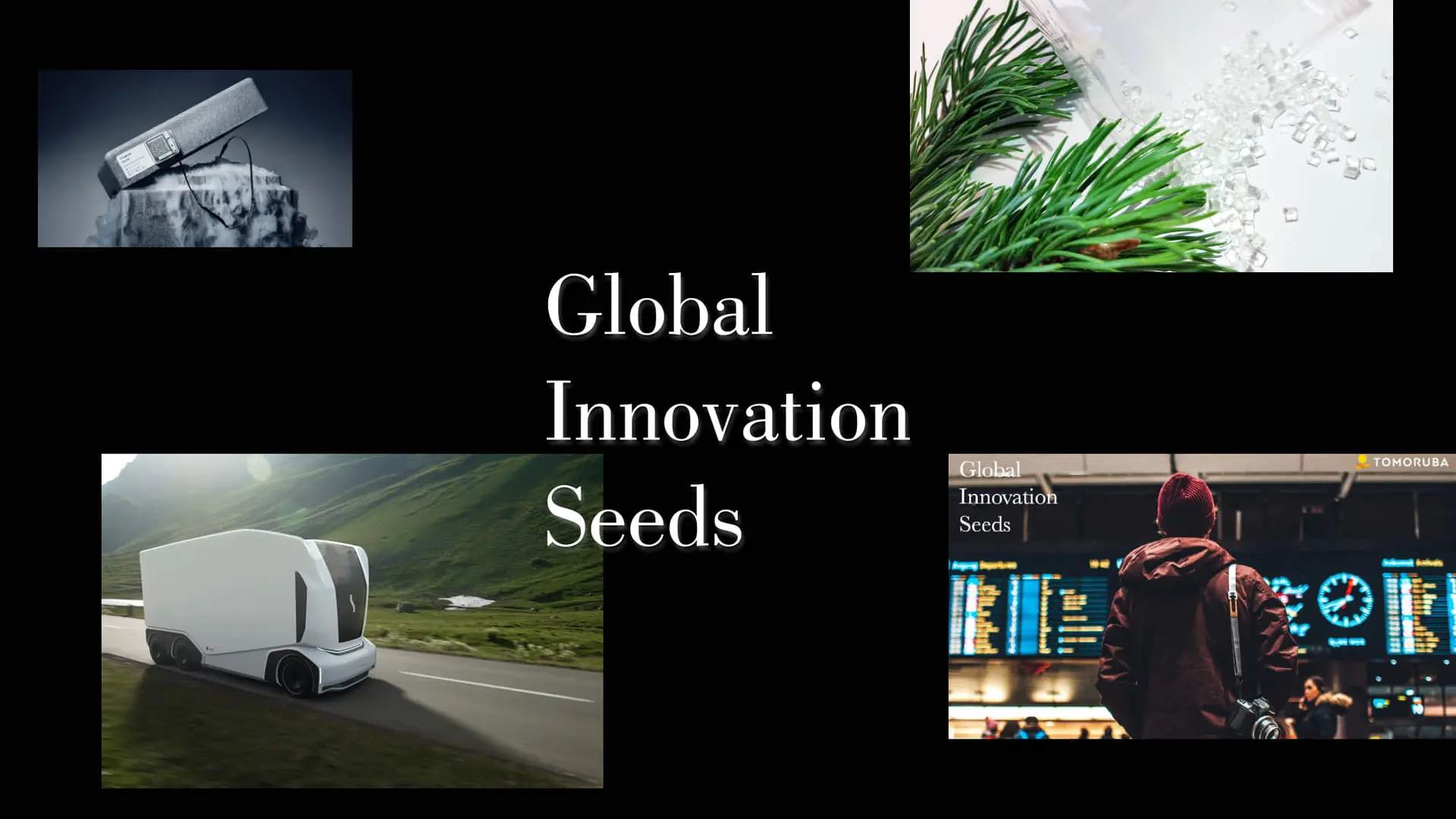 Global Innovation Seeds