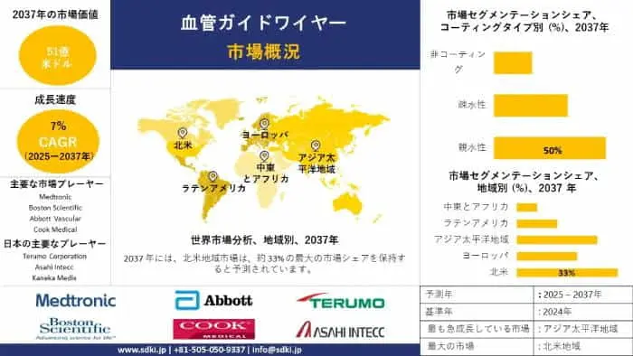  グローバル血管ガイドワイヤー産業調査、洞察、市場規模、シェア、需要、市場概要、および2025年から2037年までの予測