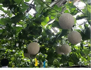 thumb_20190801123843.jpg