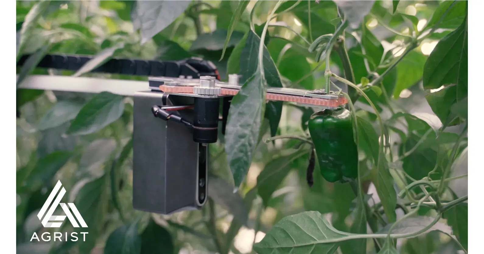 0305ニューストップ.jpg