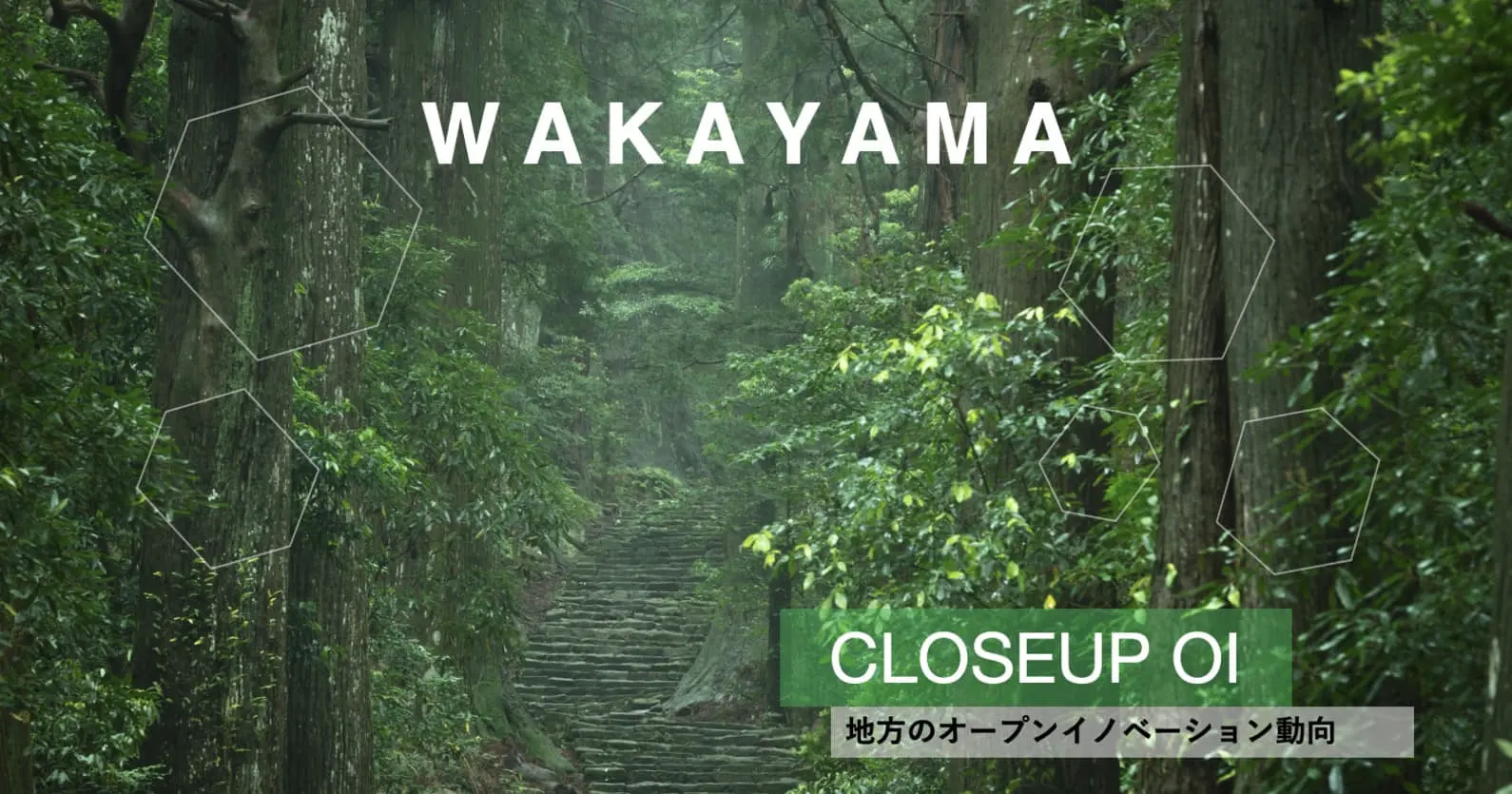 CLOSEUPOI_和歌山.jpg