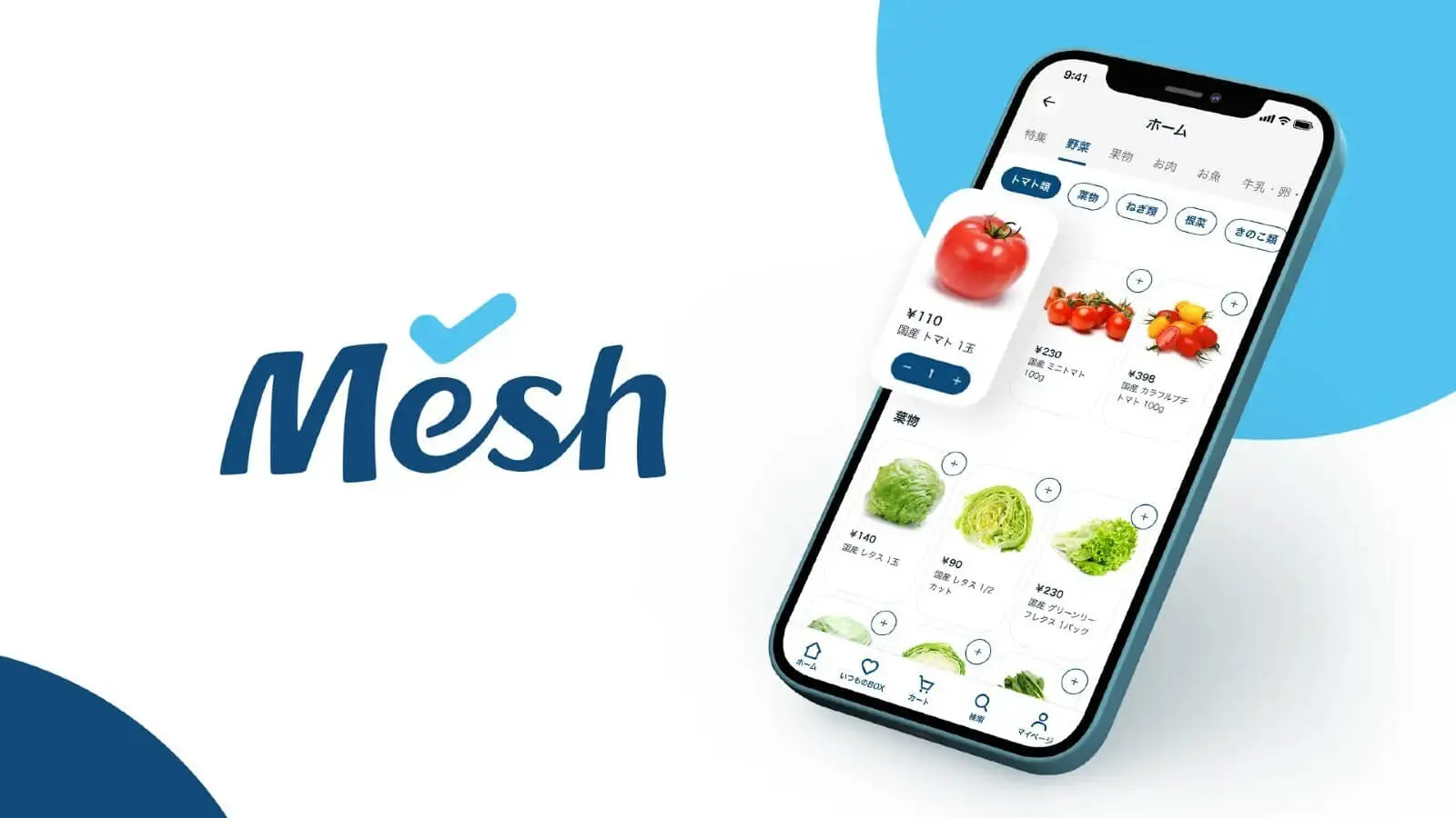 0317_Mesh.jpg