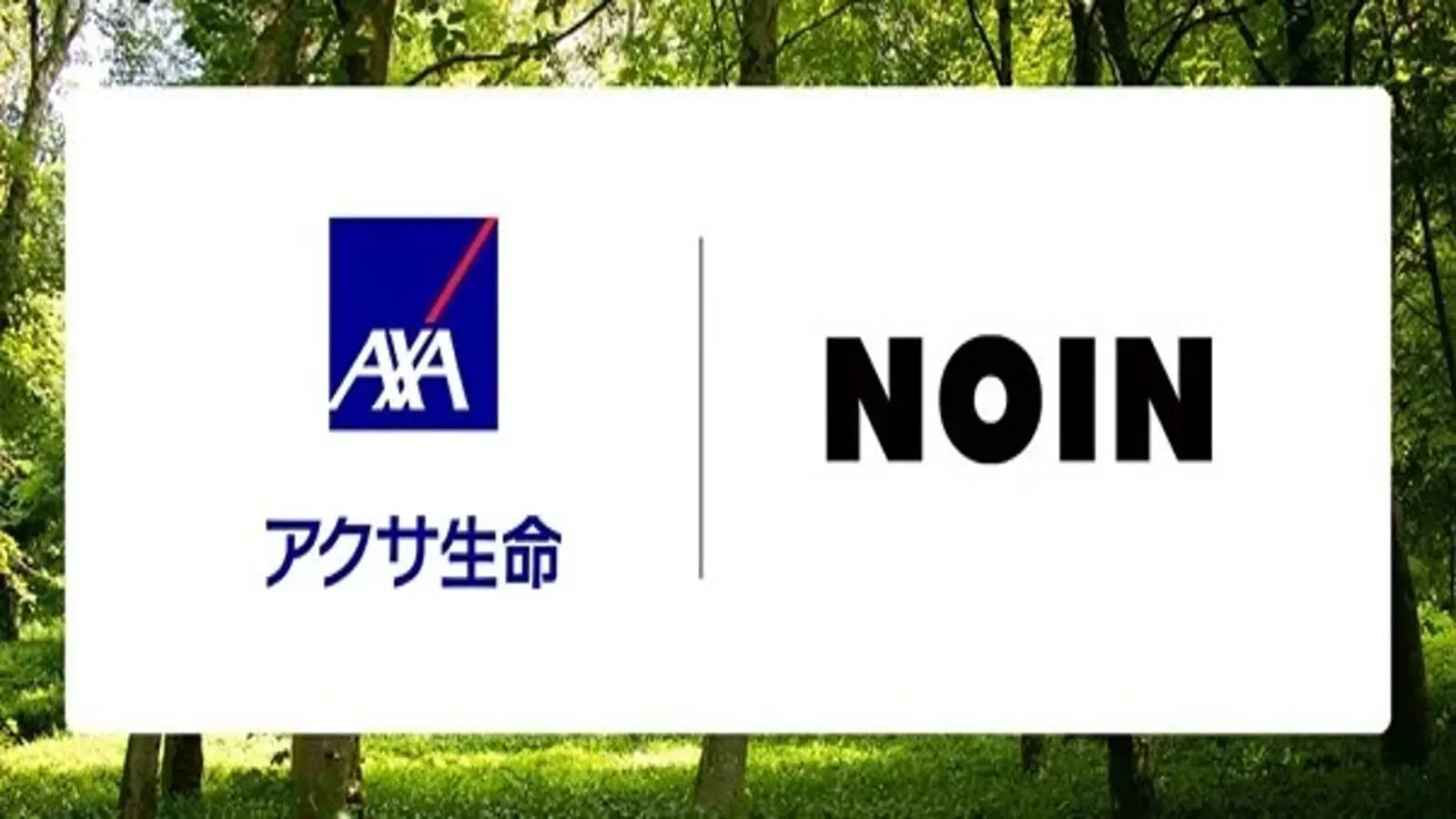 0322_NOIN.jpg