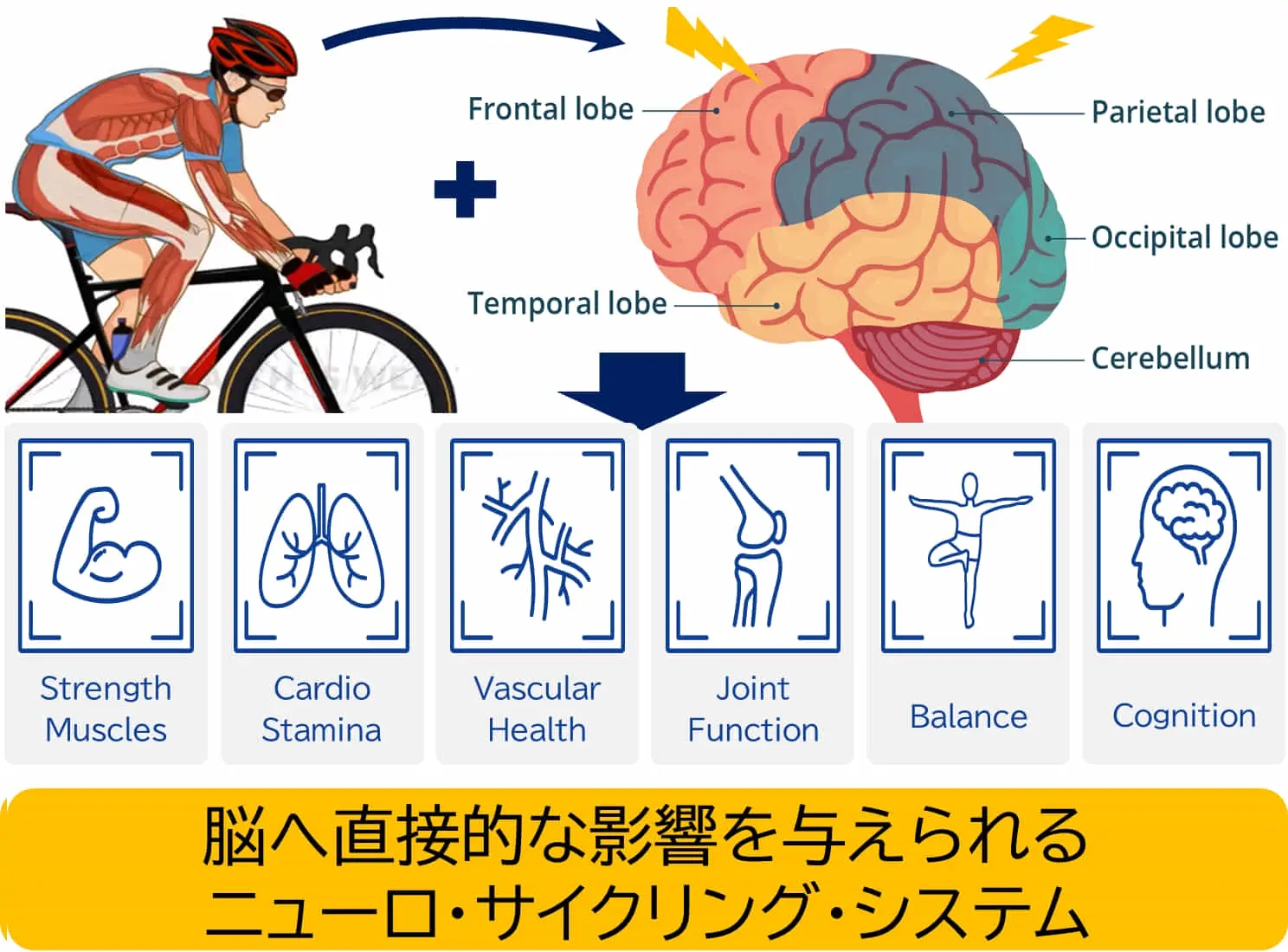 自転車が倒れない、安全・健康・リアルなサイクリング環境を提供するデジタルサイクリング「アルティレーサー」、令和7年4月開館の埼玉県さいたま市「ゆーぱる ひざこ(健康福祉センター東楽園)」に常設導入！