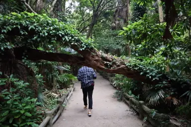 大崎拓哉