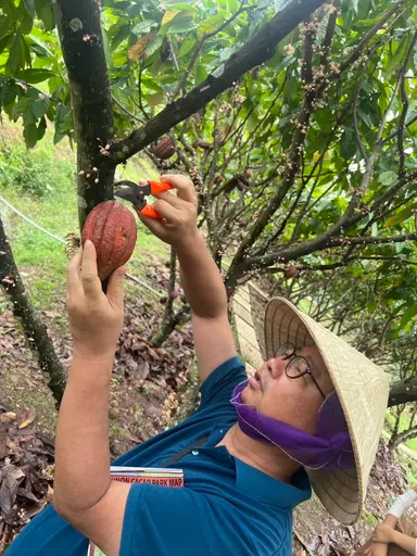 高木英俊