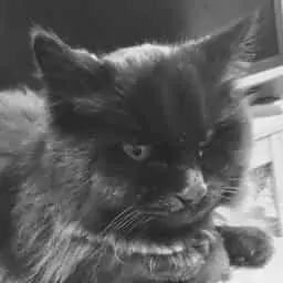 上野 智弘