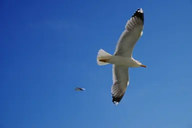 春次賢太朗